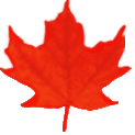 Feuille d'&eacute;rable